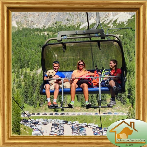 Sheena, Rare Rainbow Dell'Antica Casa nata il 10/3/22 