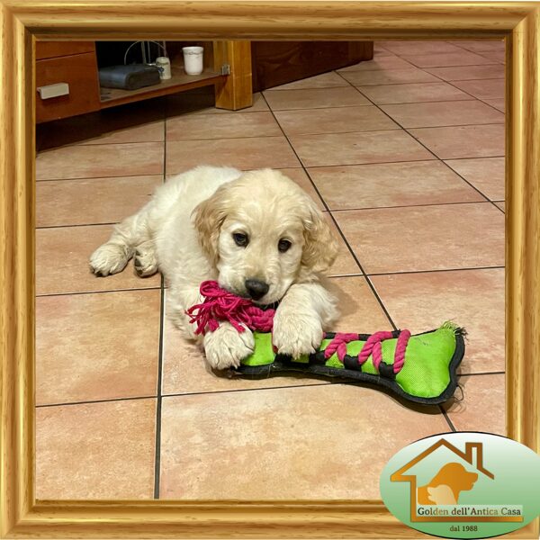 Vince to Antica Casa du Bois de la Rayere