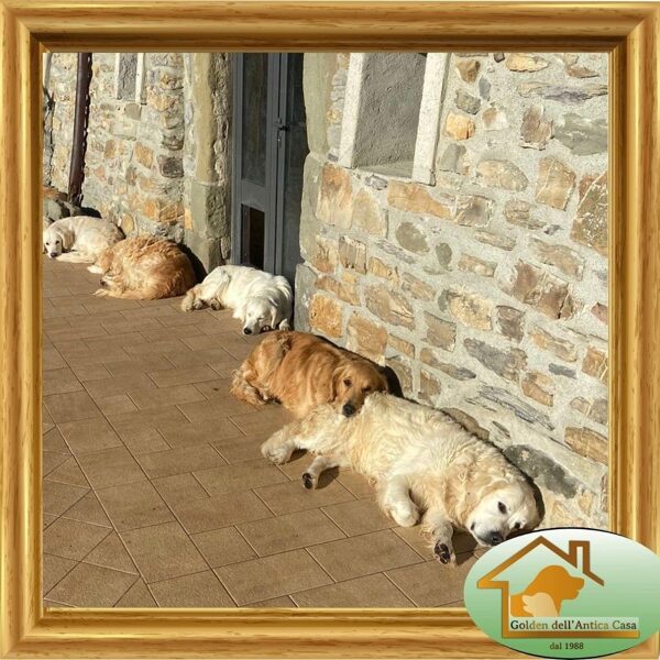 Un po di relax al sole!