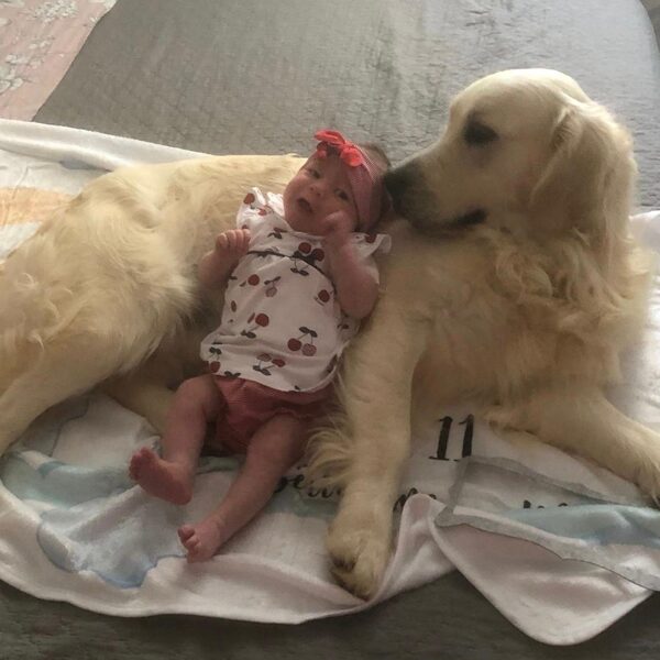 Baloo "Vince Dell'Antica Casa nato il 21/10/2022 con la sorellina