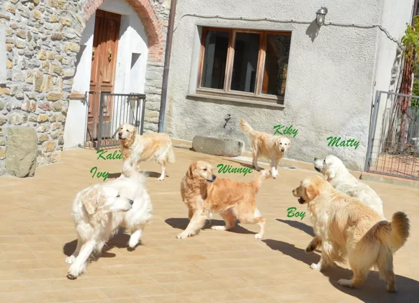La banda di Antica Casa